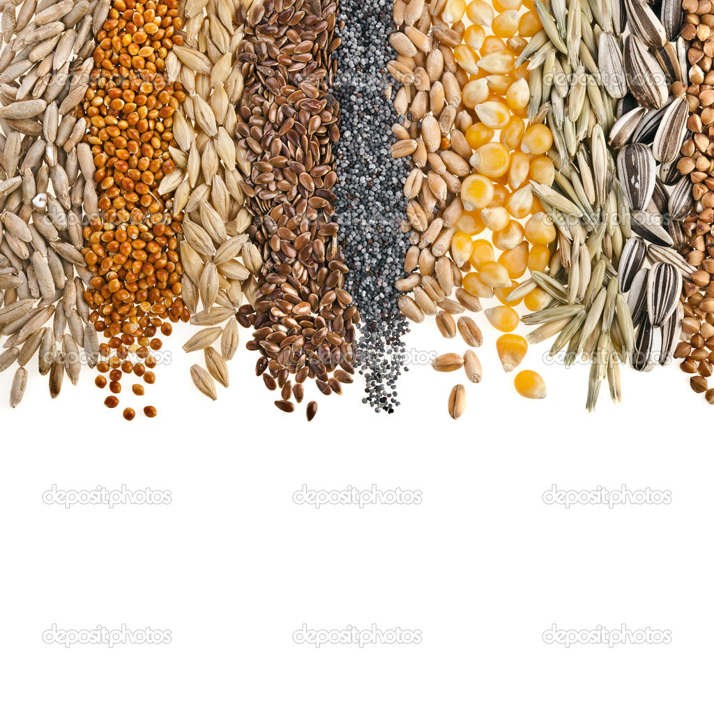 Cereais têm valorização anual de 28,6%