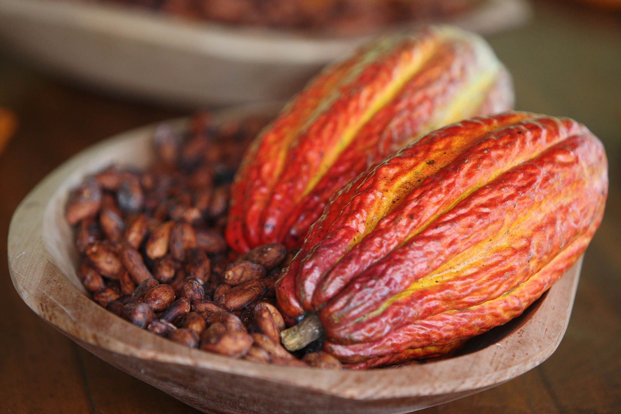 ABDI Vai trabalhar para que novos países sejam autorizados a exportar cacau para o Brasil