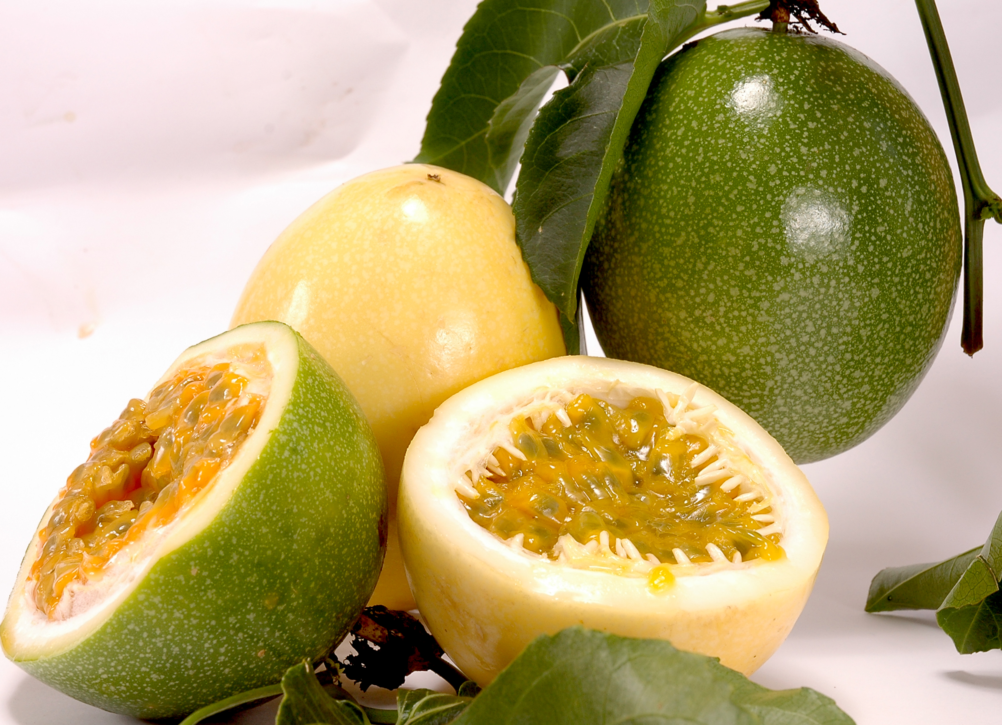 Produtores do Sudoeste do estado investem no plantio de maracujá