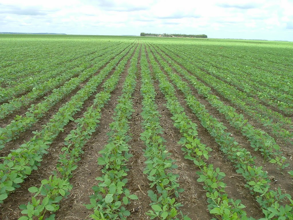 Região do extremo sul baiano vai receber Seminário de Comércio Exterior