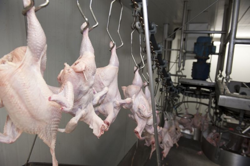 Exportações de frango crescem 9% em receita em relação a 2016