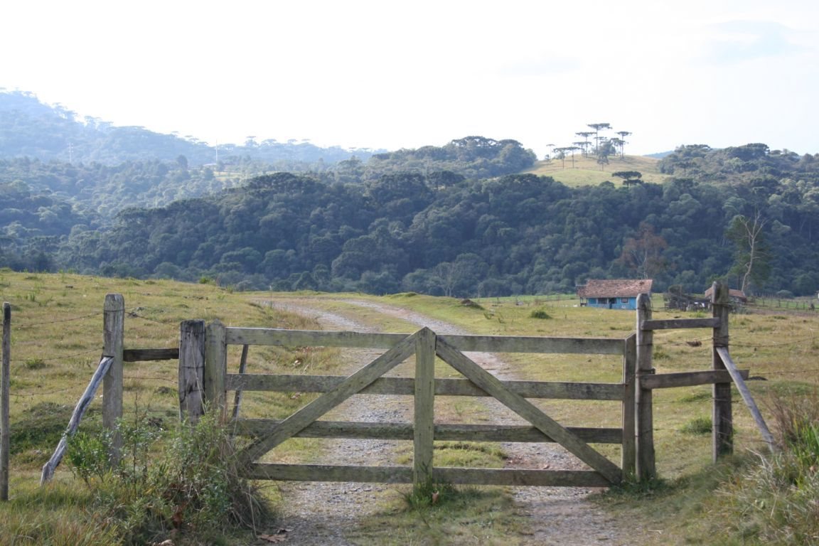 Paraná: Quase mil fazendas são assaltadas por mês no estado