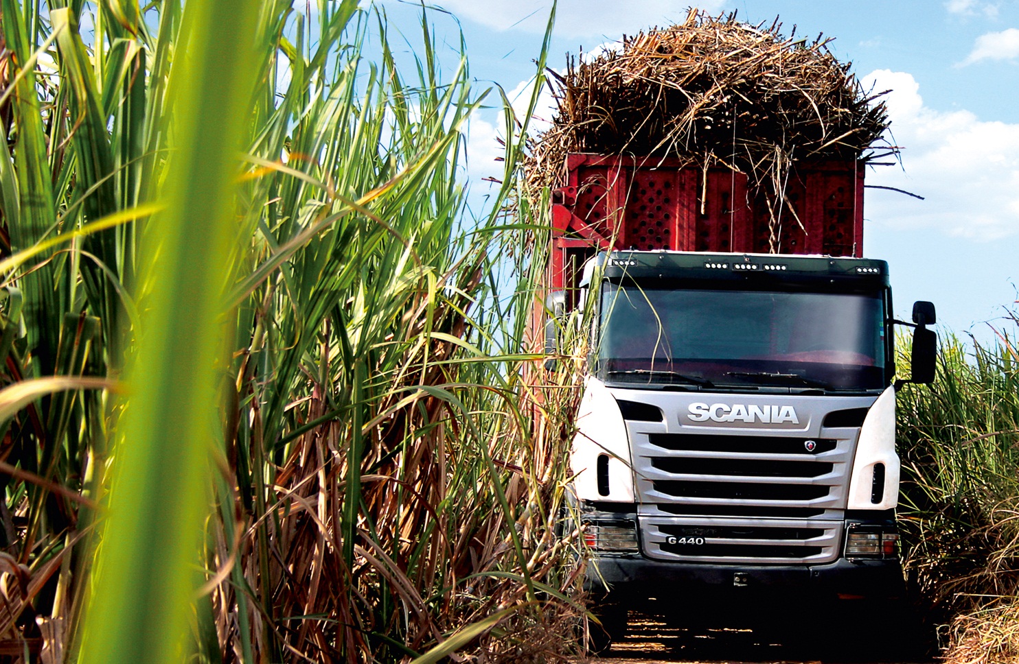 Datagro estima produção de açúcar do centro-sul em 36,38 mi t