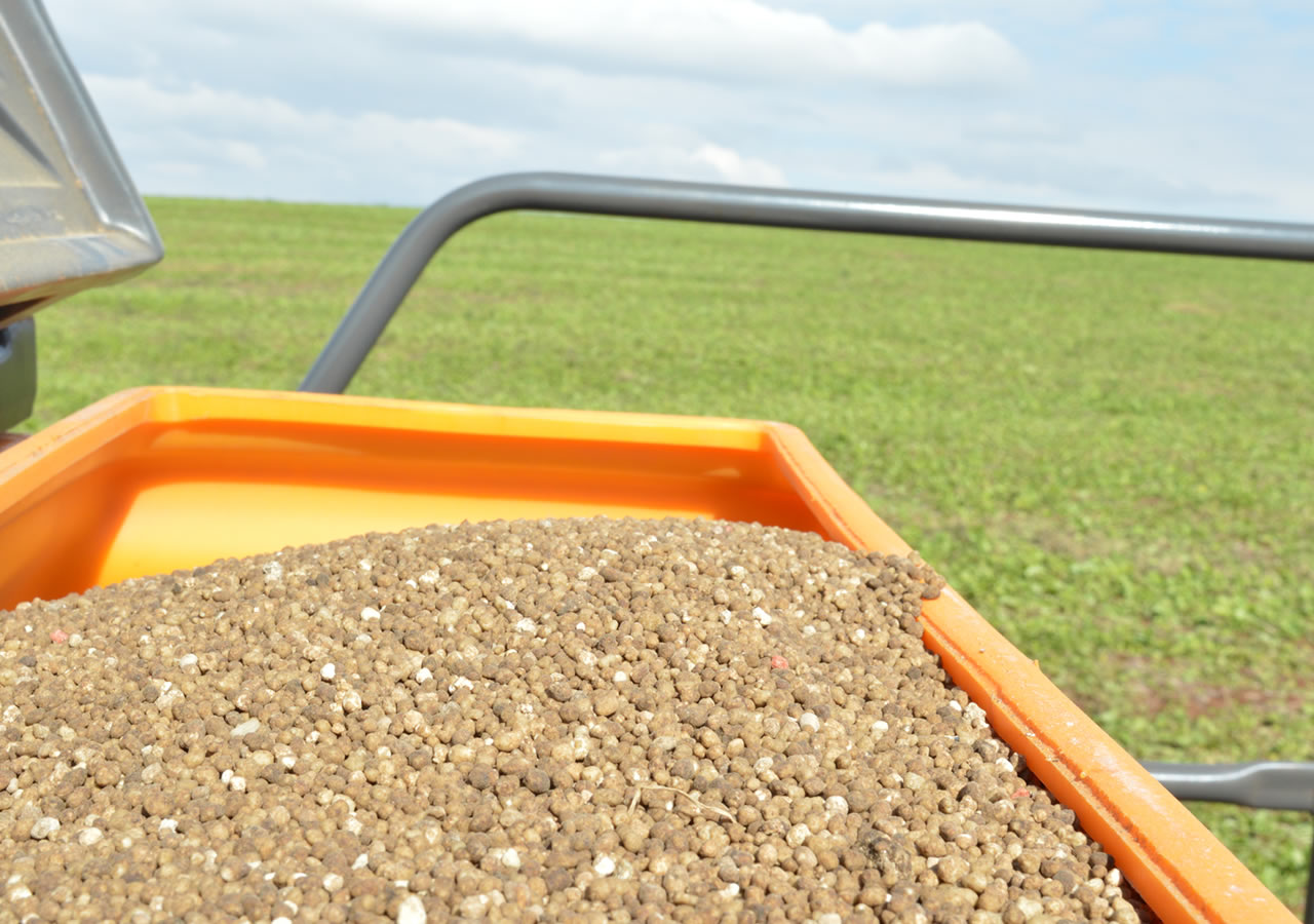 Preços dos fosfatados podem sofrer pressão altista, diz Marcos Stelzer, Diretor da CMOC Internacional Brasil