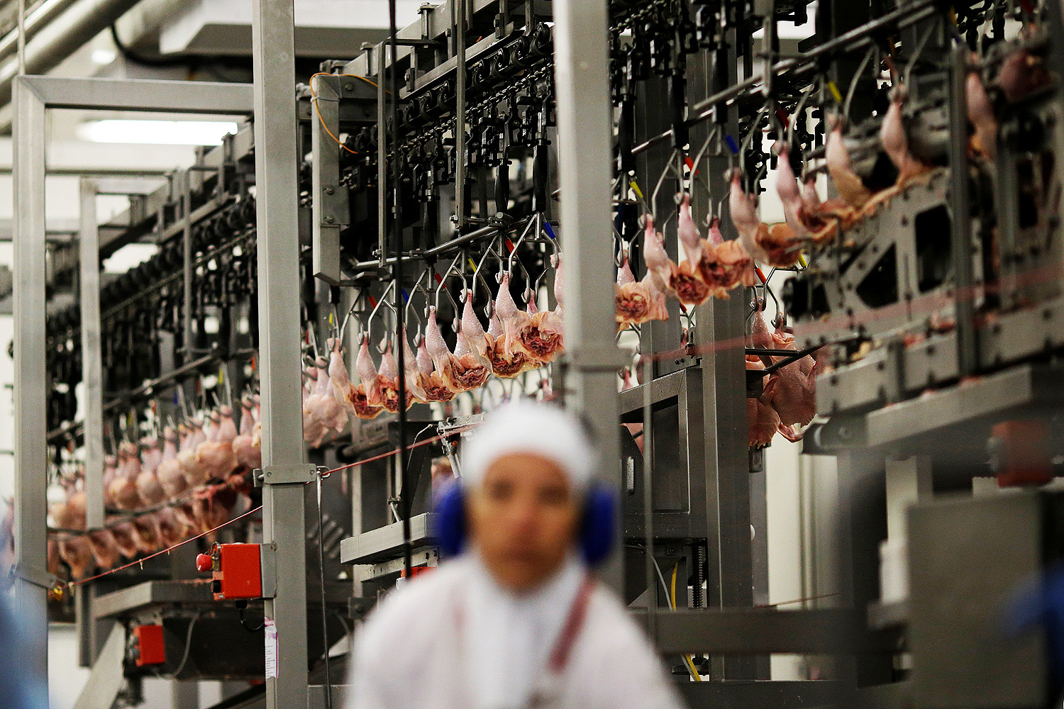 Santa Catarina quer ampliar exportação de carnes para a China