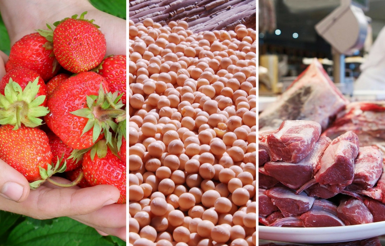 Plano promoverá sustentabilidade do agro brasileiro no mercado global