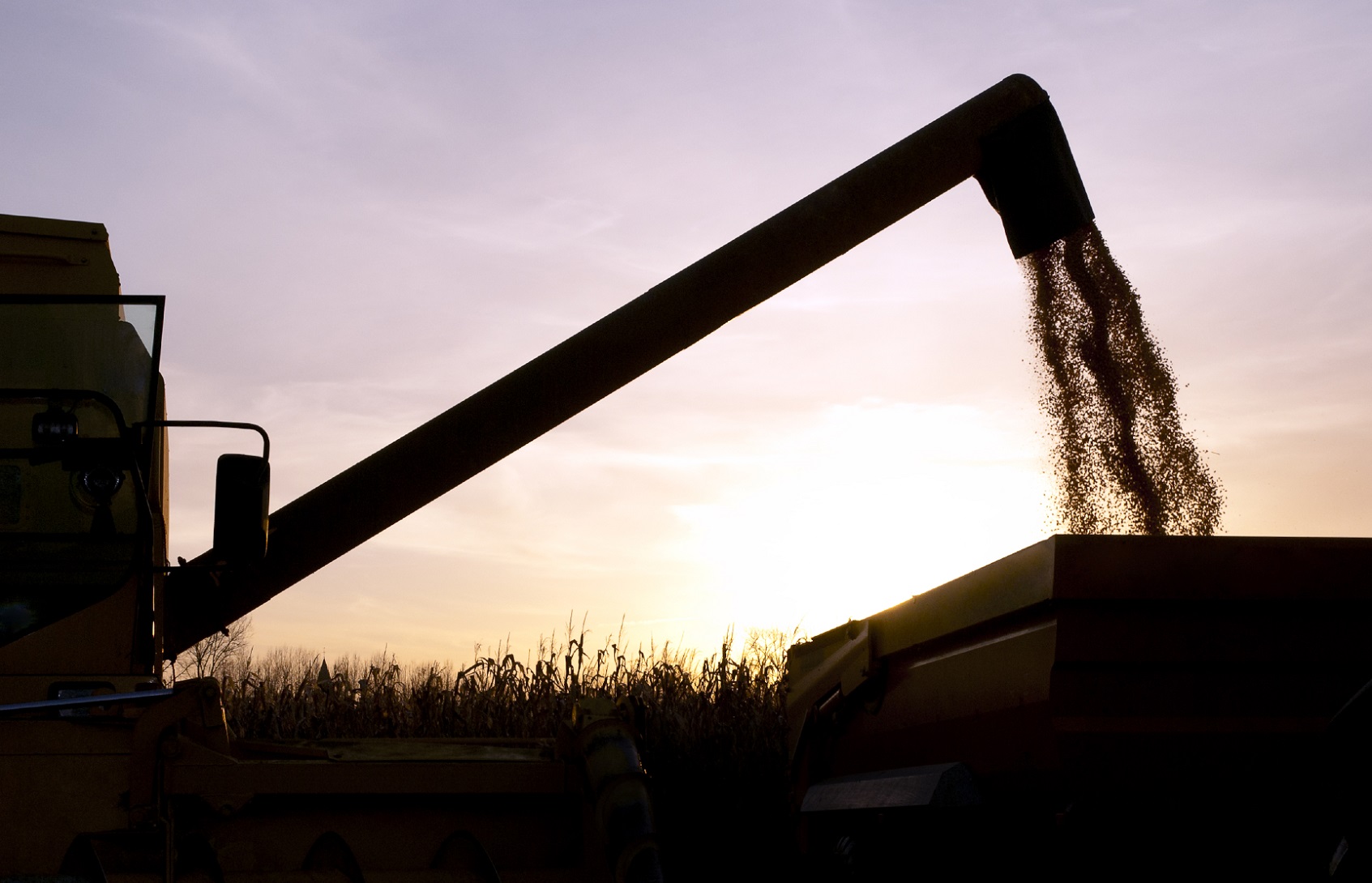 Empresa brasileira inicia produção de etanol a partir da soja