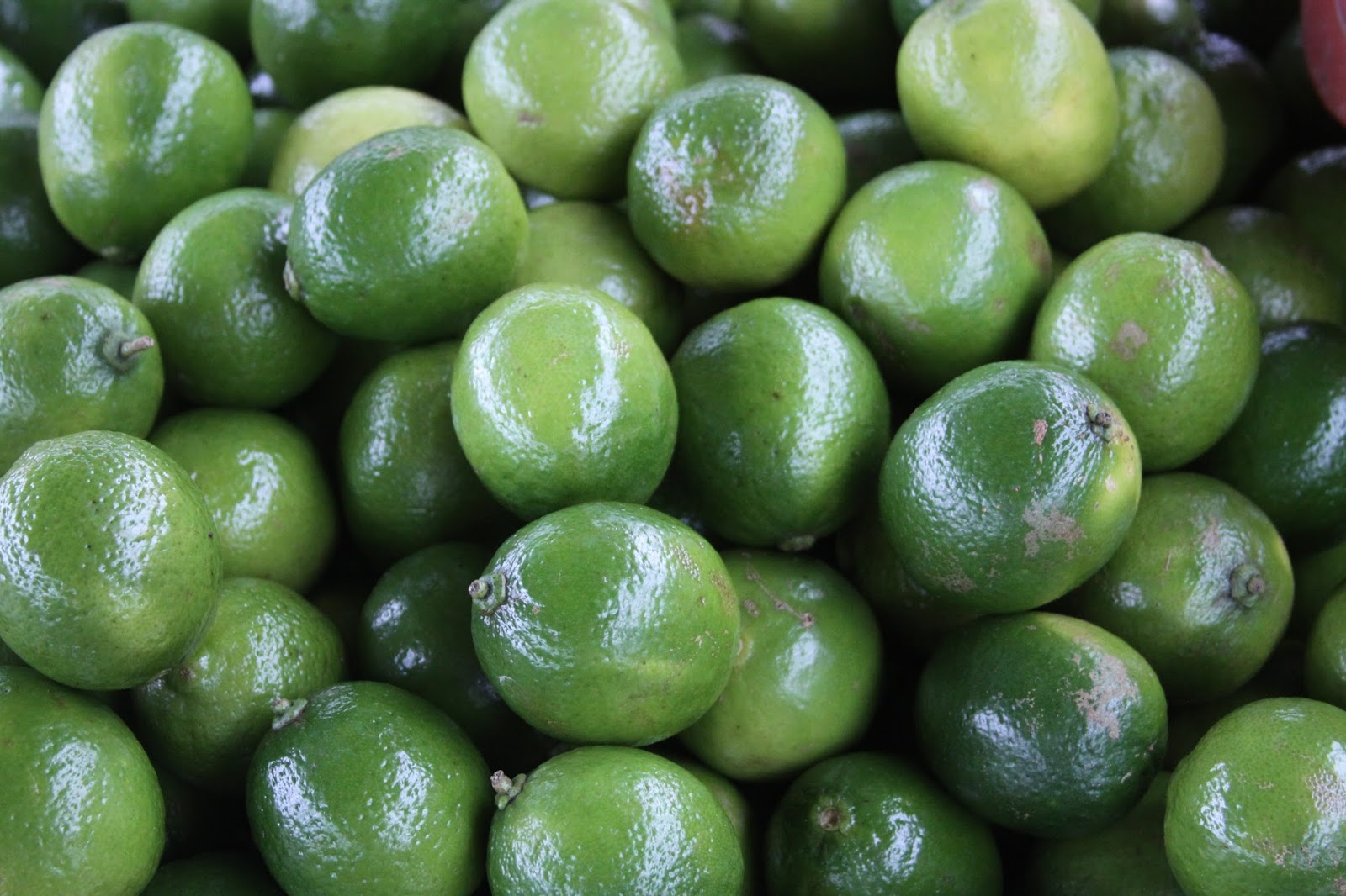 Primeiro embarque de limão argentino chega aos EUA