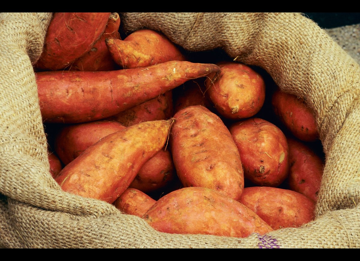 Alunos paraenses aprovam a batata-doce biofortificada
