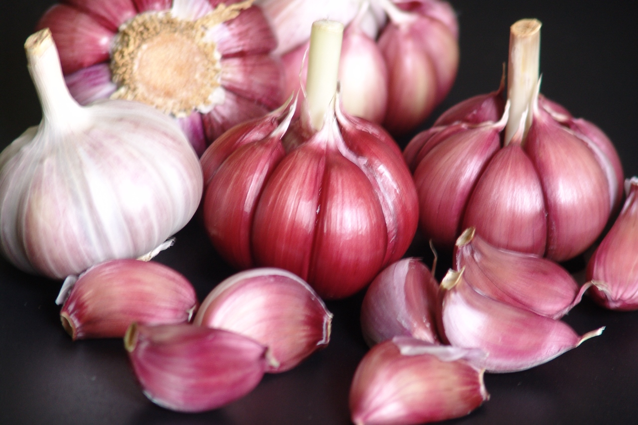 Concorrência desleal com alho chinês preocupa produtores brasileiros