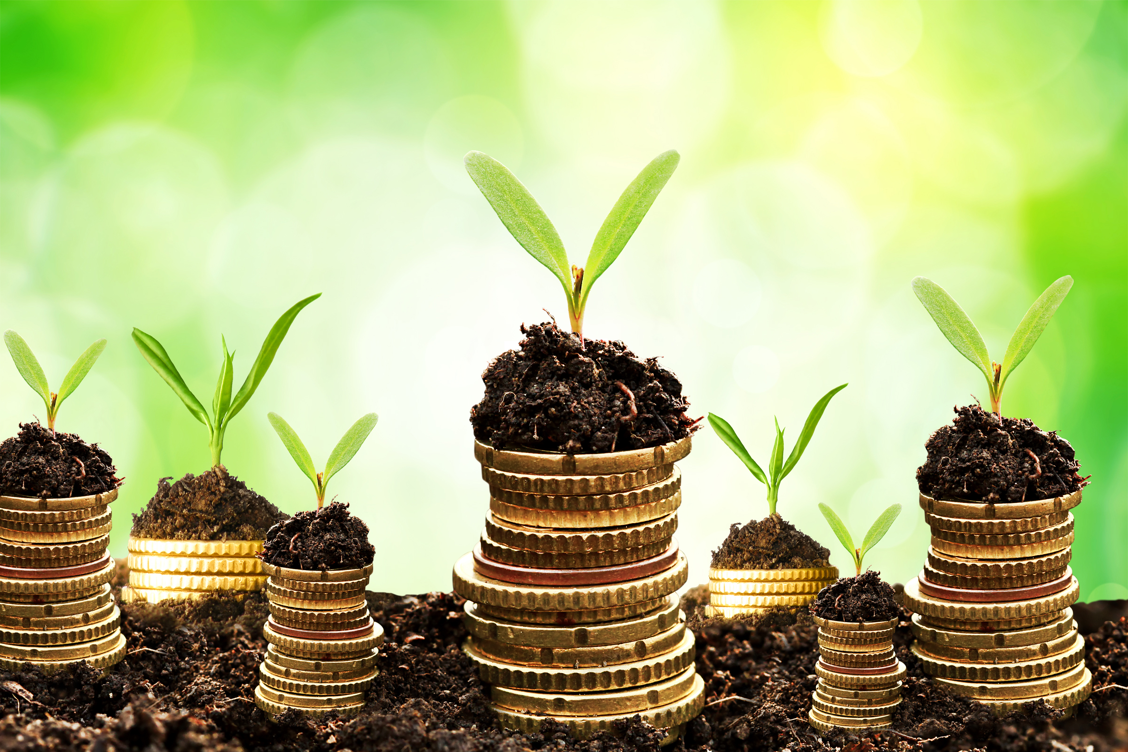 Nove projetos serão beneficiados por Fundo Embrapa/Mosanto