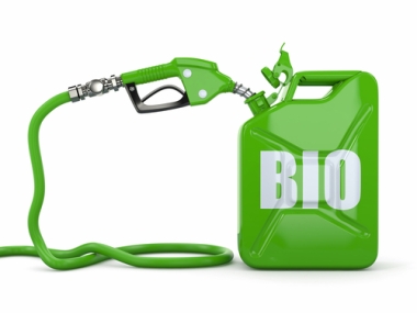 Entidades pedem volta da mistura com biodiesel