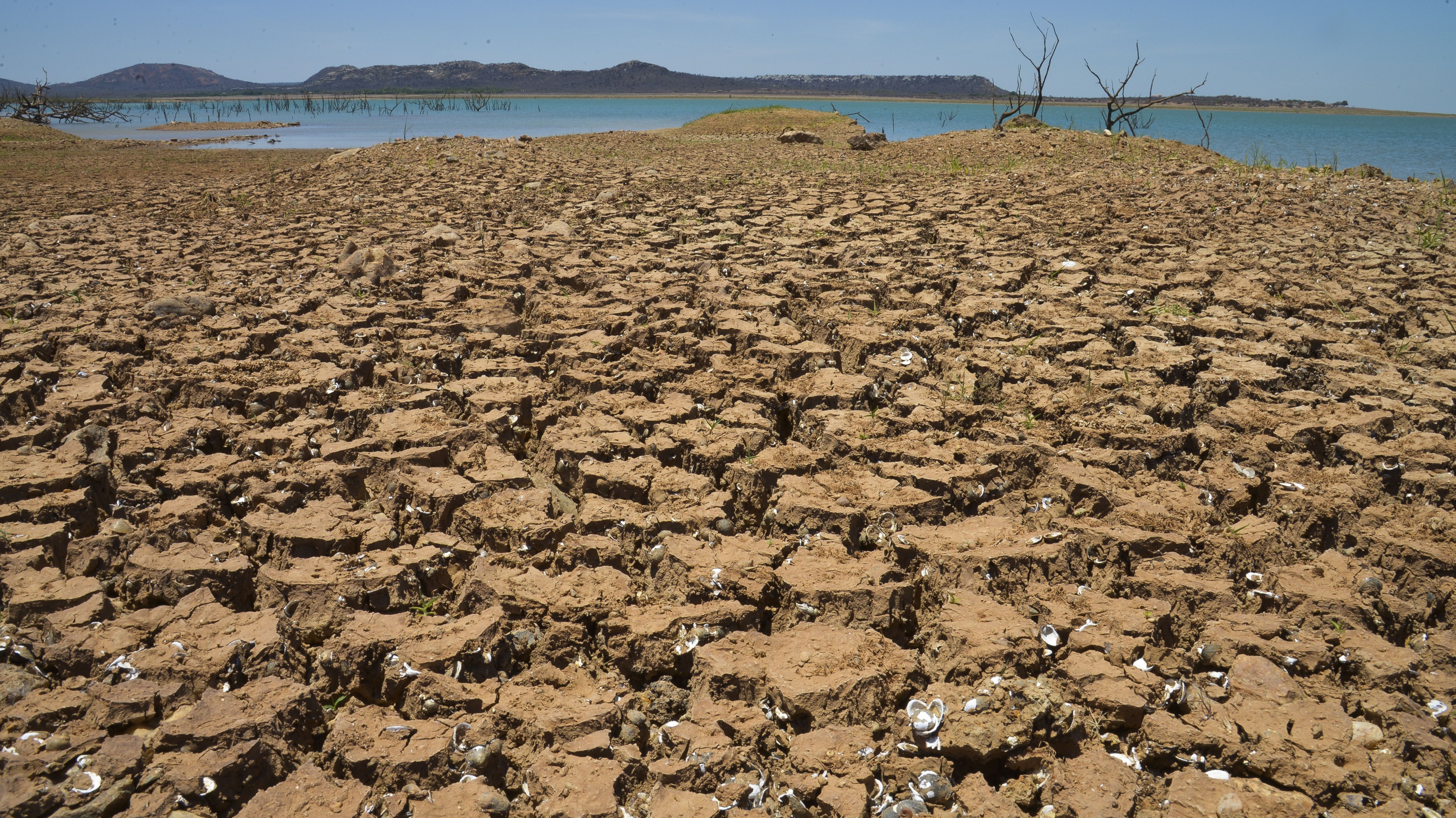 Seca na Europa afeta agricultura