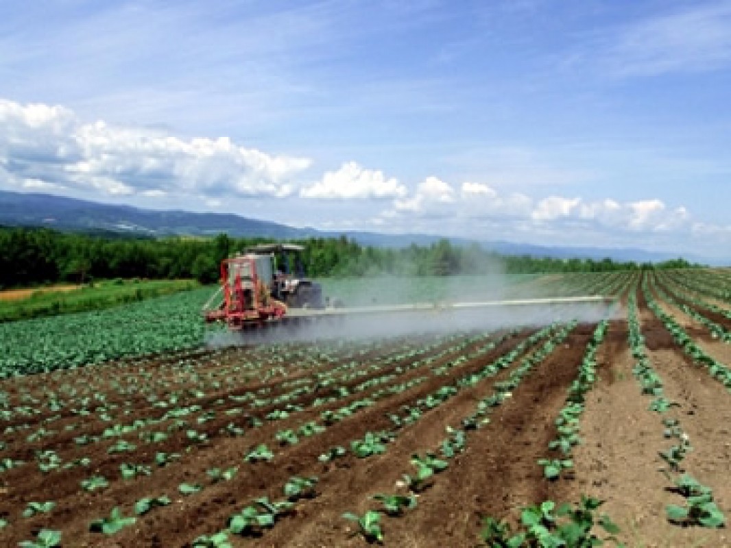 PL dos pesticidas é iniciativa dos produtores, diz Andef