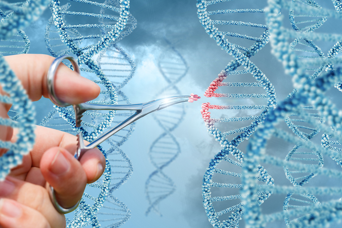 Novo gene melhora produção reduzindo fertilizantes