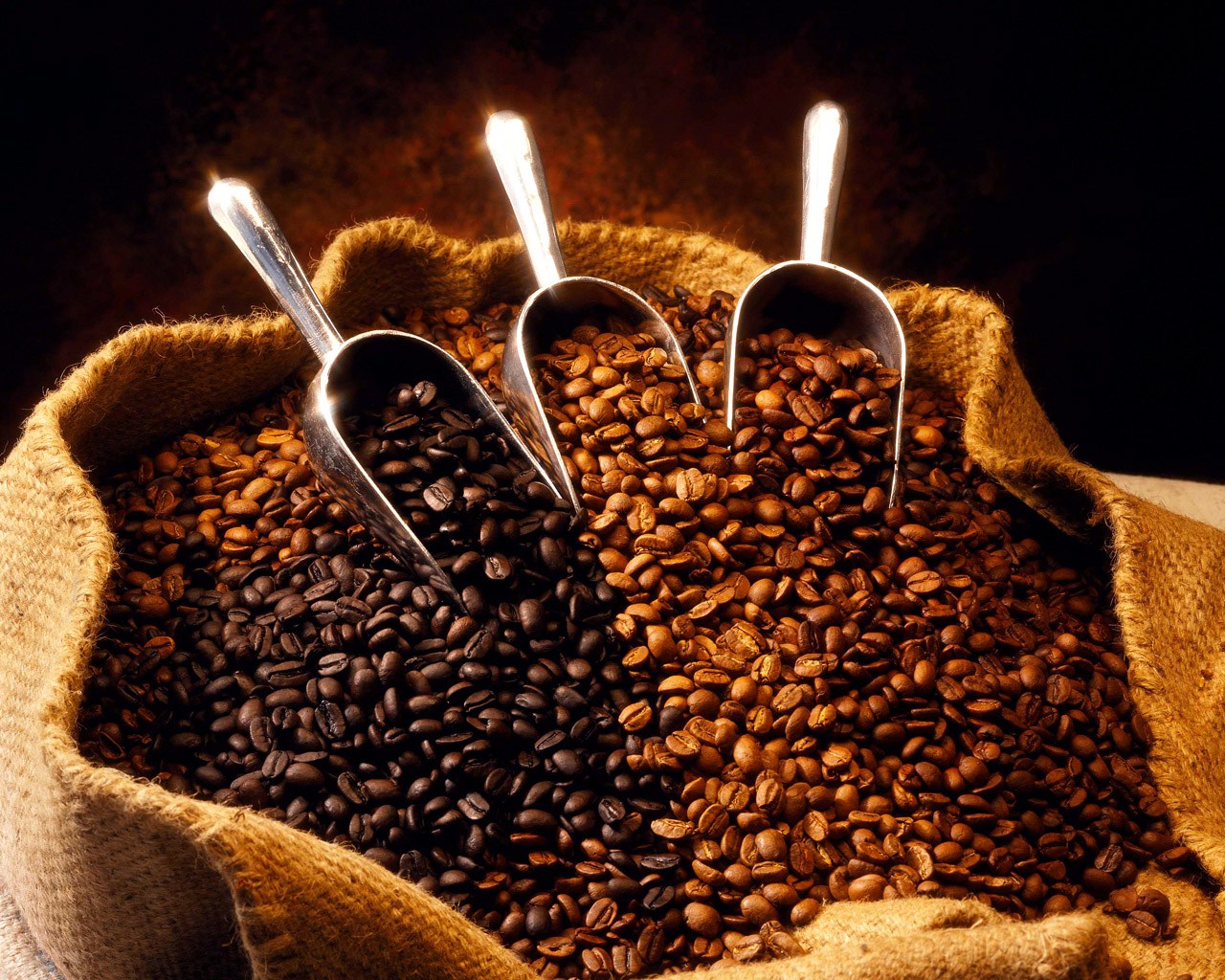 SISTEMA FAEMG na Semana Internacional do Café