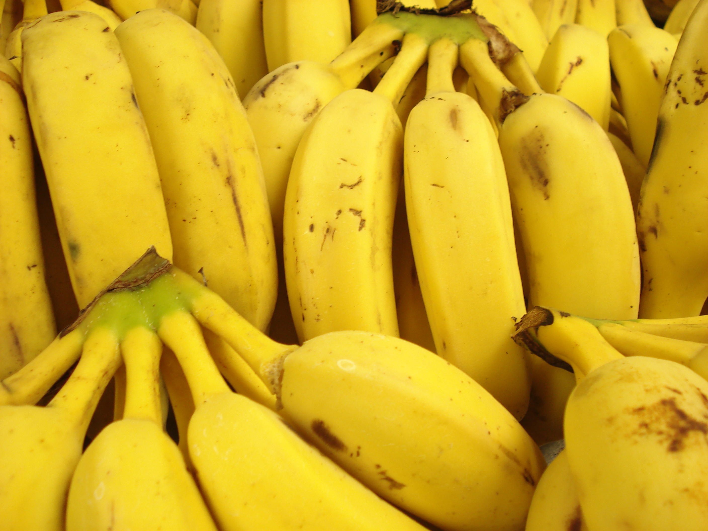 BANANA/CEPEA: Atraso na adubação afeta qualidade