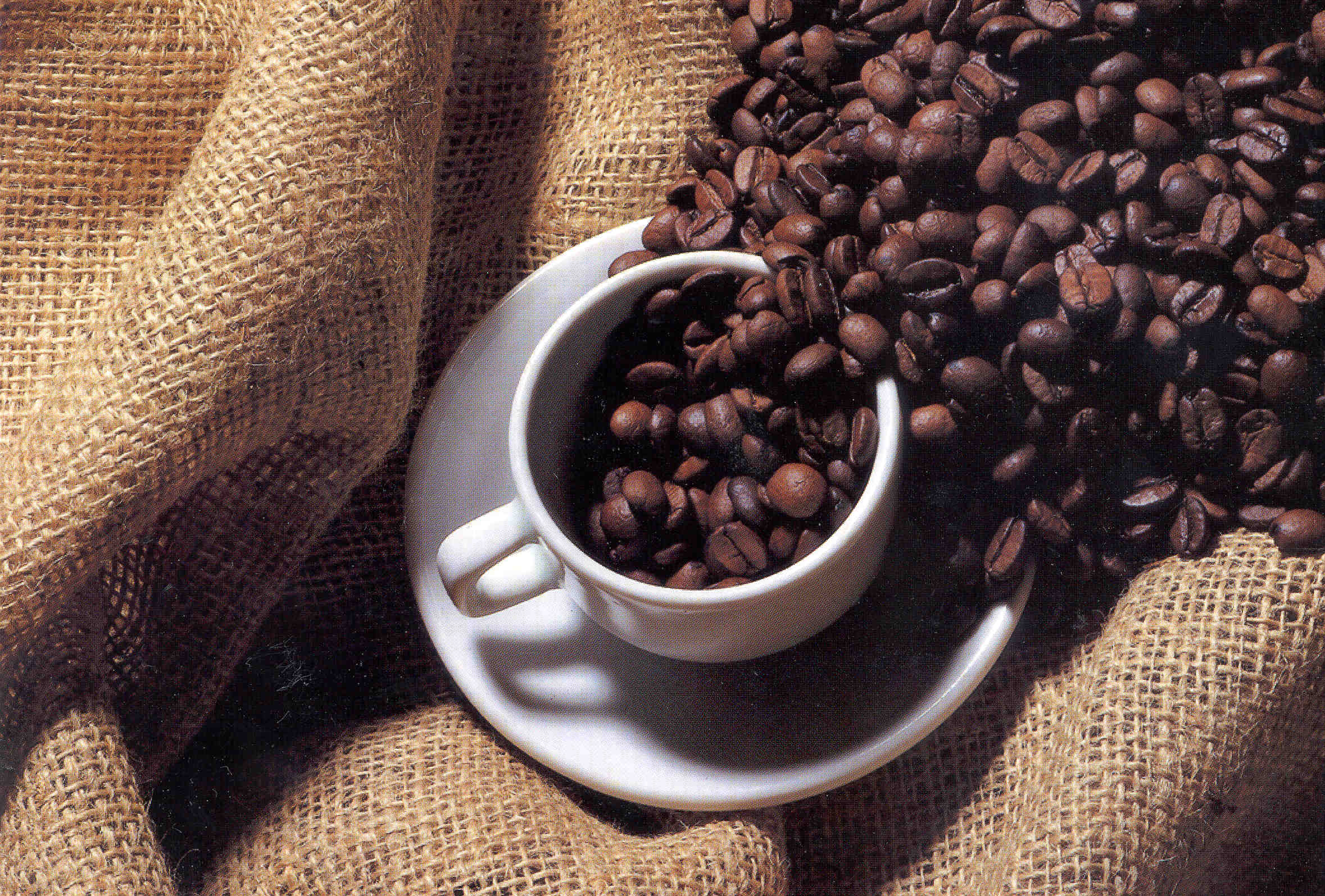 Produção dos Cafés do Brasil
