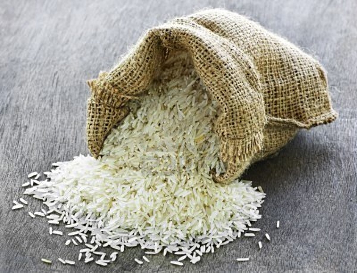 Workshop debate cenário para arroz safrinha irrigado no Centro-Oeste