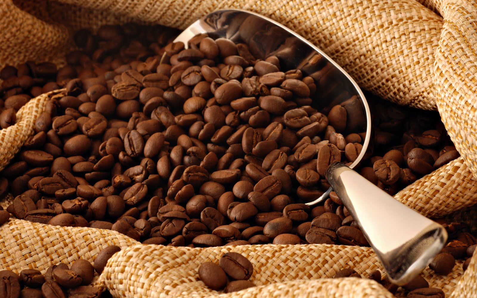 60% das variedades de café podem ser extintas