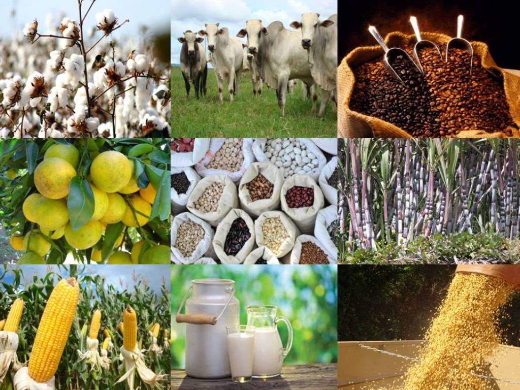 COTAÇÕES AGRÍCOLAS