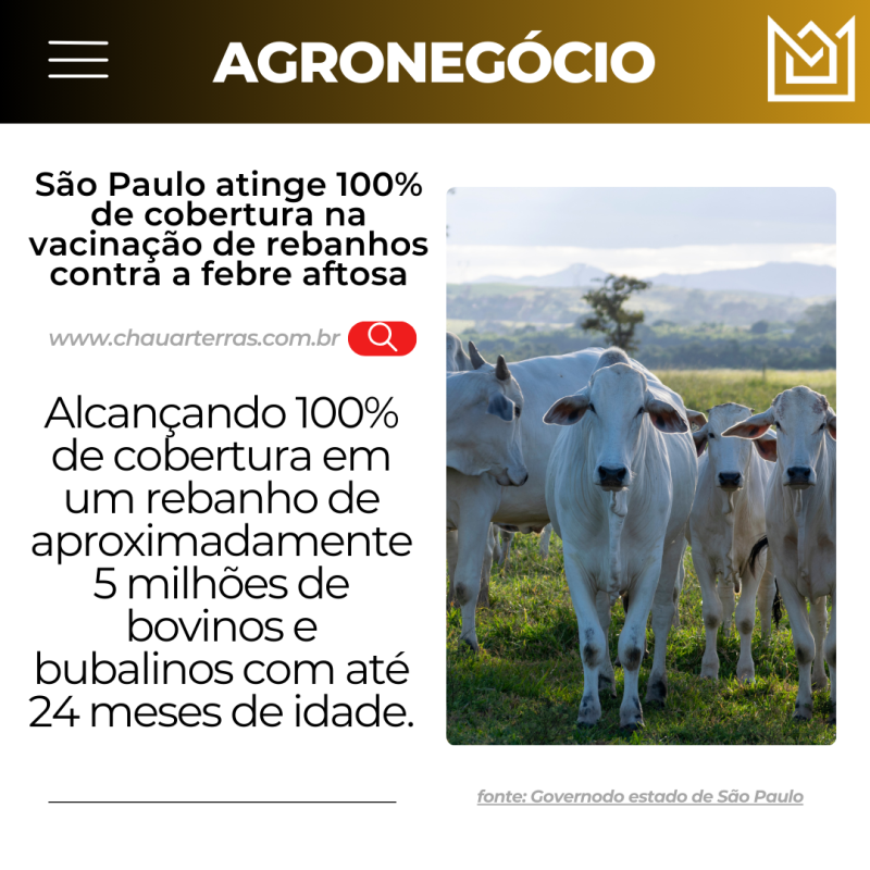 titulo publicacao