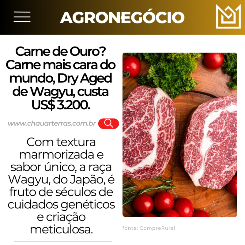 titulo publicacao