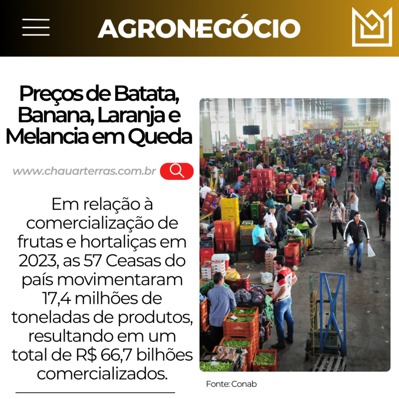 titulo publicacao