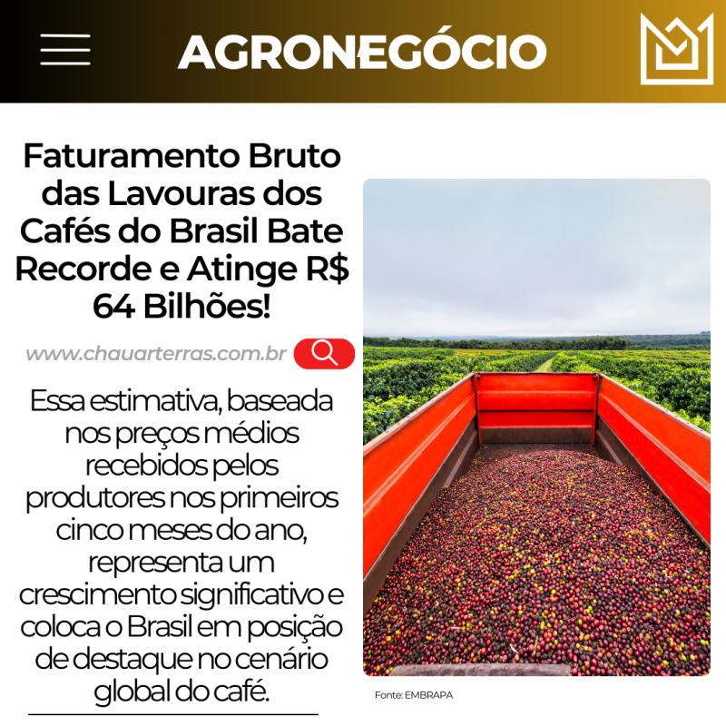 titulo publicacao