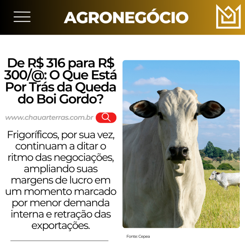 titulo publicacao
