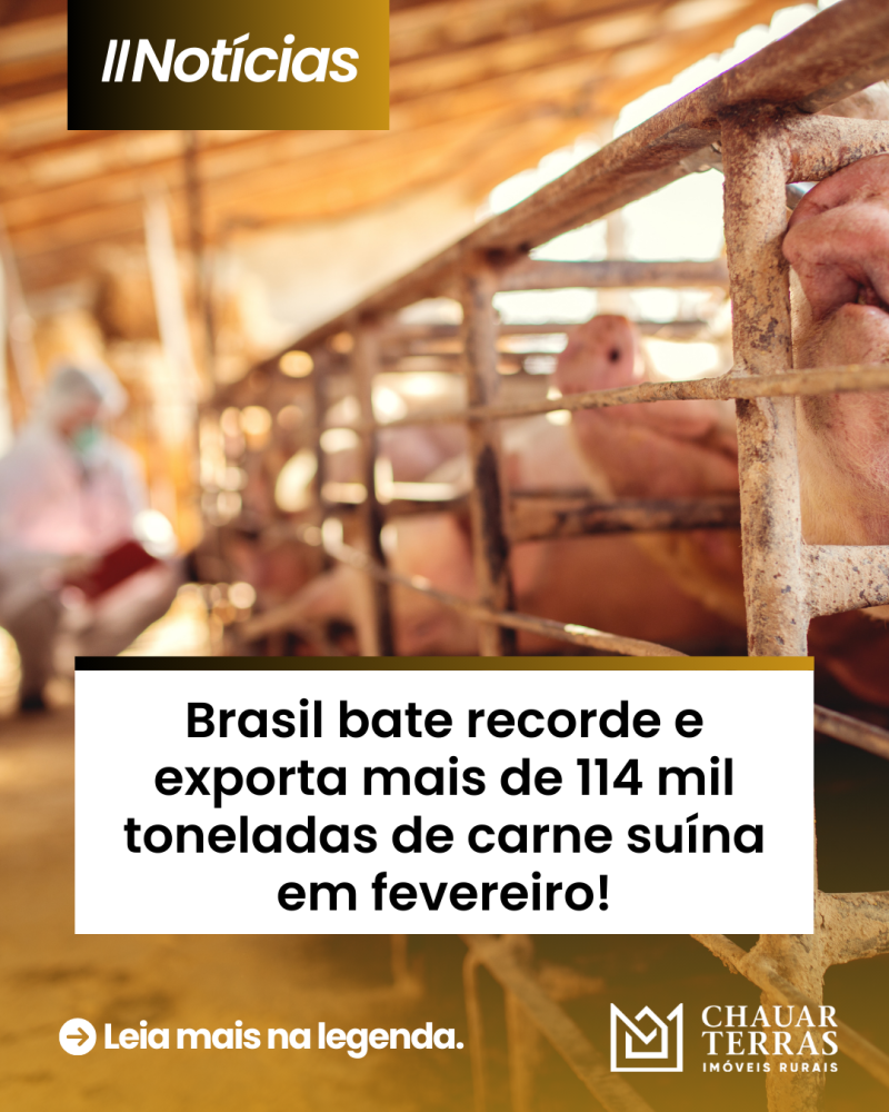 titulo publicacao