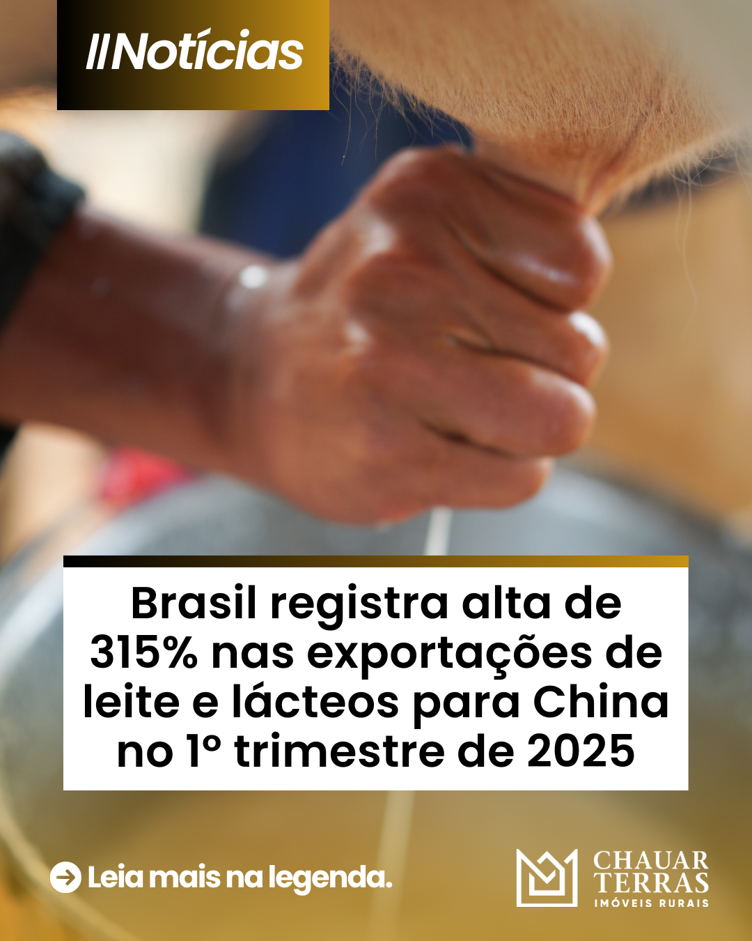 Brasil registra alta de 315% nas exportações de leite e lácteos para China no 1º trimestre de 2025