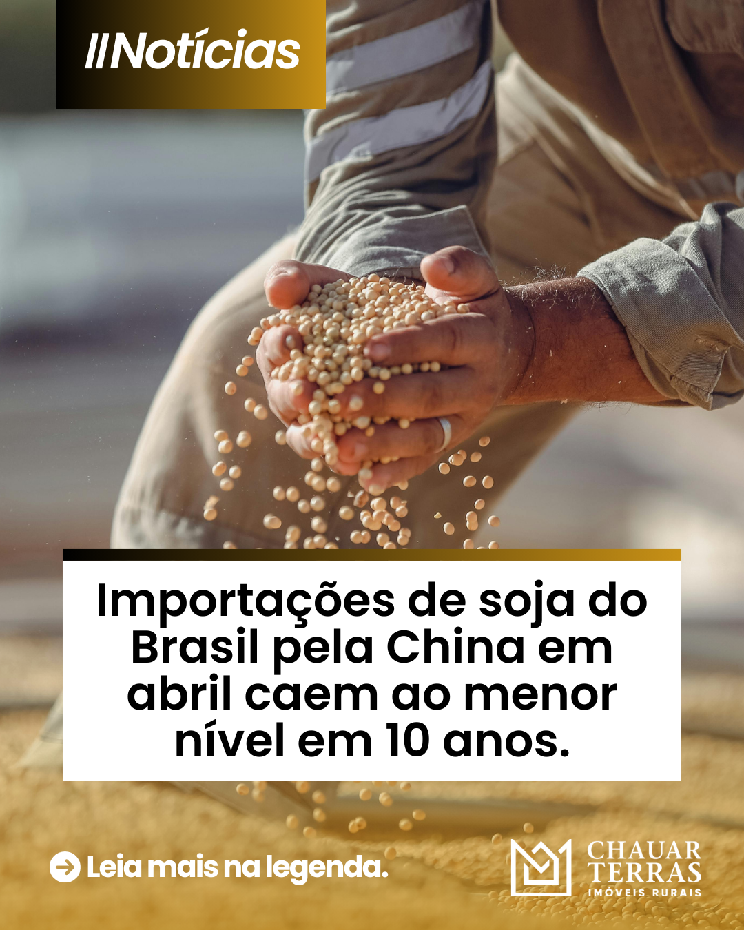 Importações de soja do Brasil pela China em abril caem ao menor nível em 10 anos