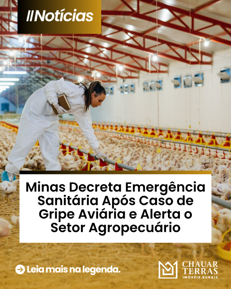 titulo publicacao