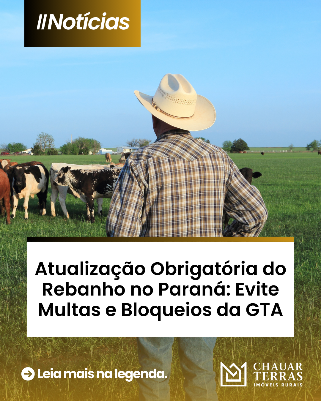 Últimos Dias! Produtores Têm Até 30 de Junho para Atualizar o Rebanho 