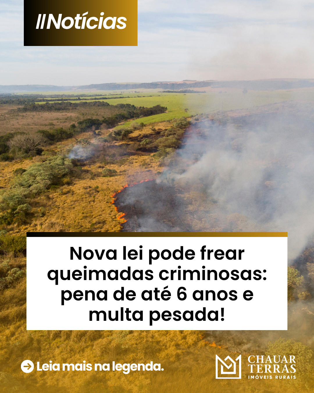 Incêndios florestais terão punições mais severas