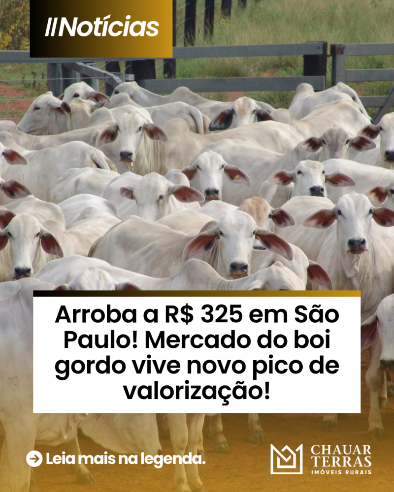 titulo publicacao