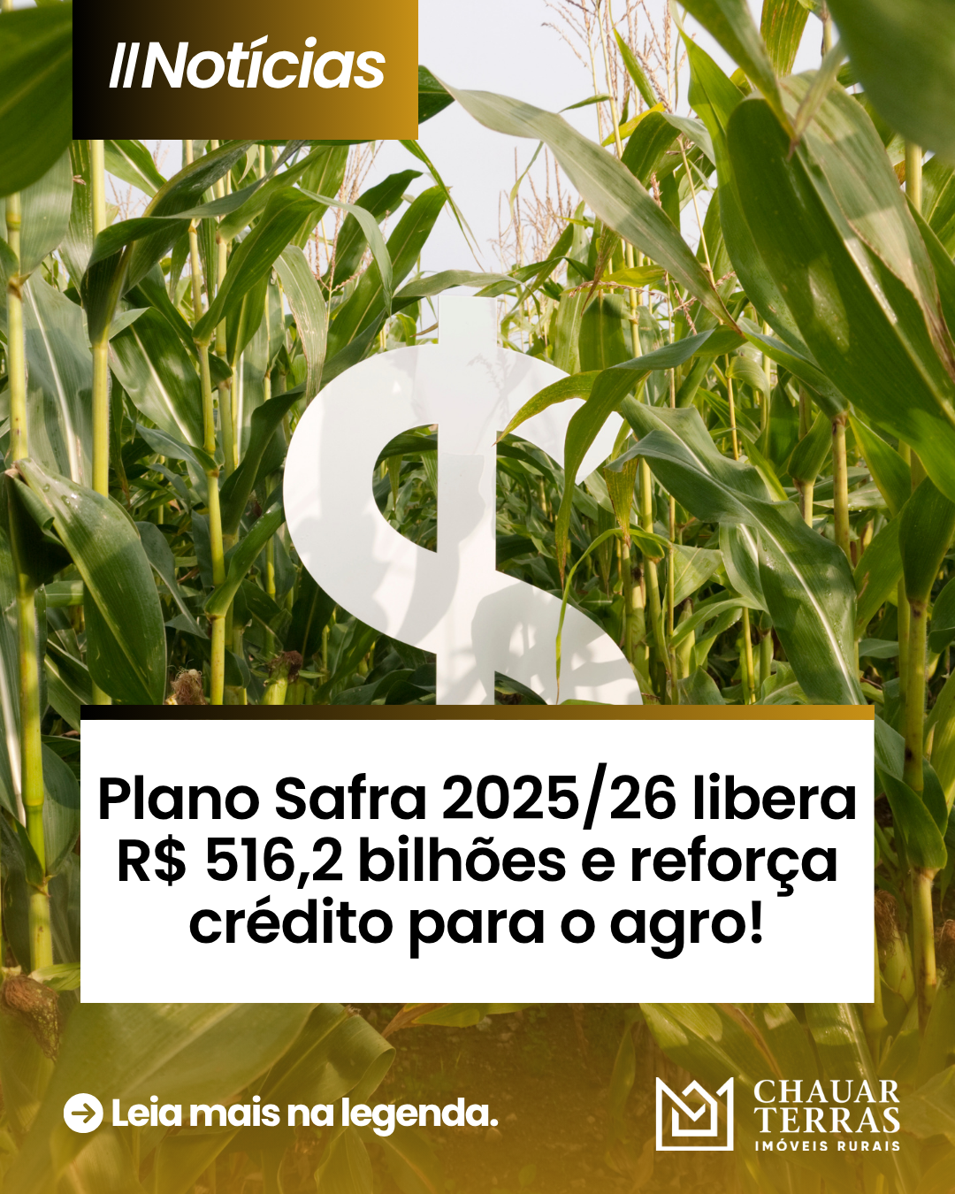 Plano Safra 2025/26 libera R$ 516,2 bilhões e reforça crédito para o agro