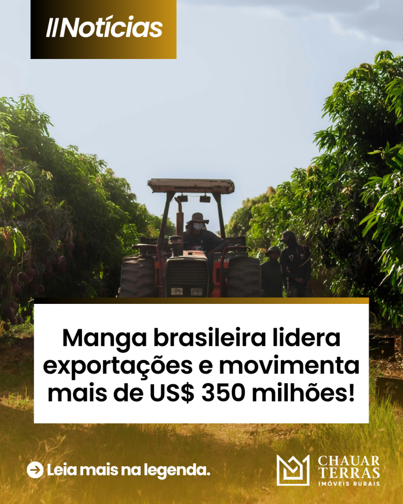 titulo publicacao