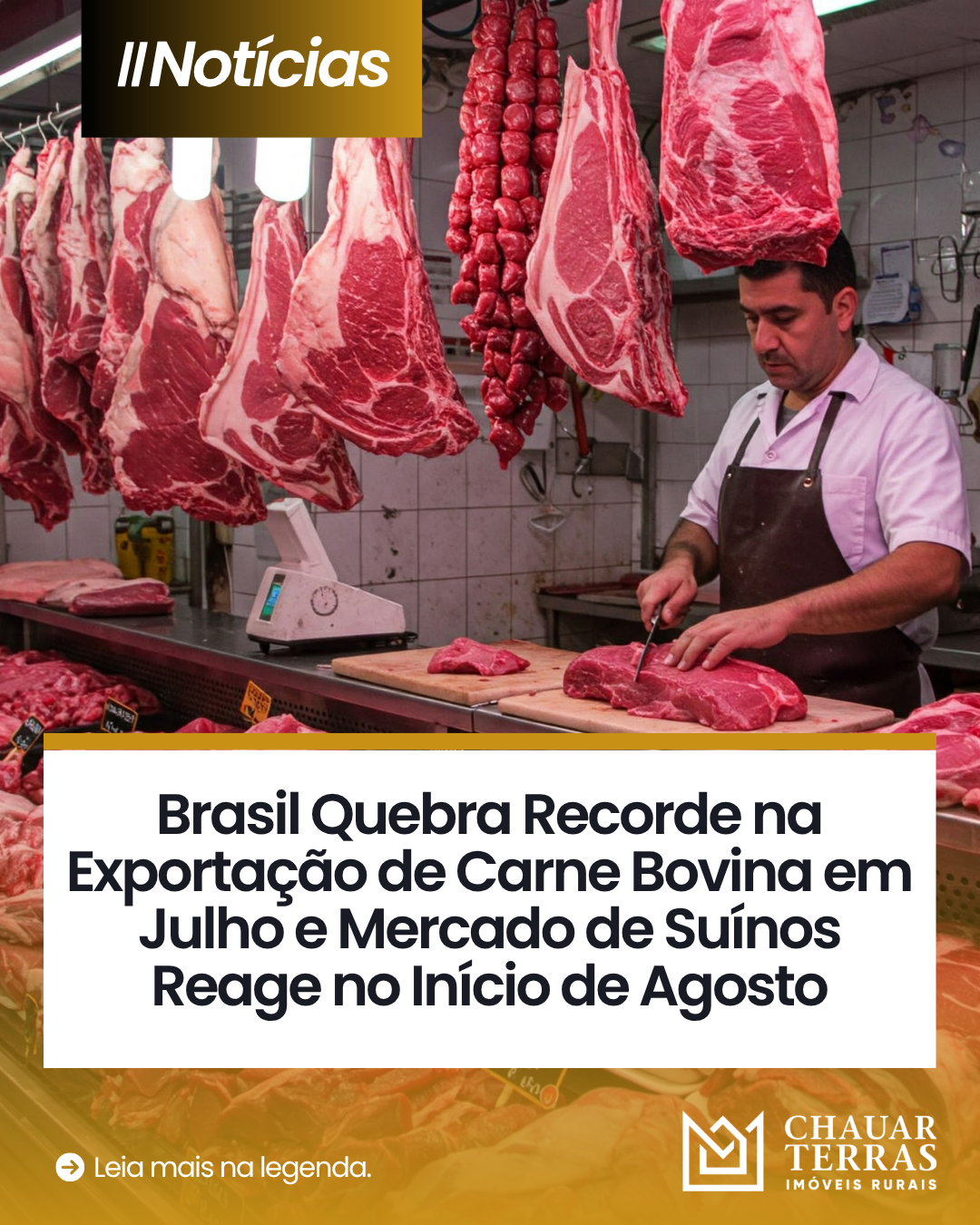 Brasil Quebra Recorde na Exportação de Carne Bovina em Julho e Mercado de Suínos Reage no Início de Agosto