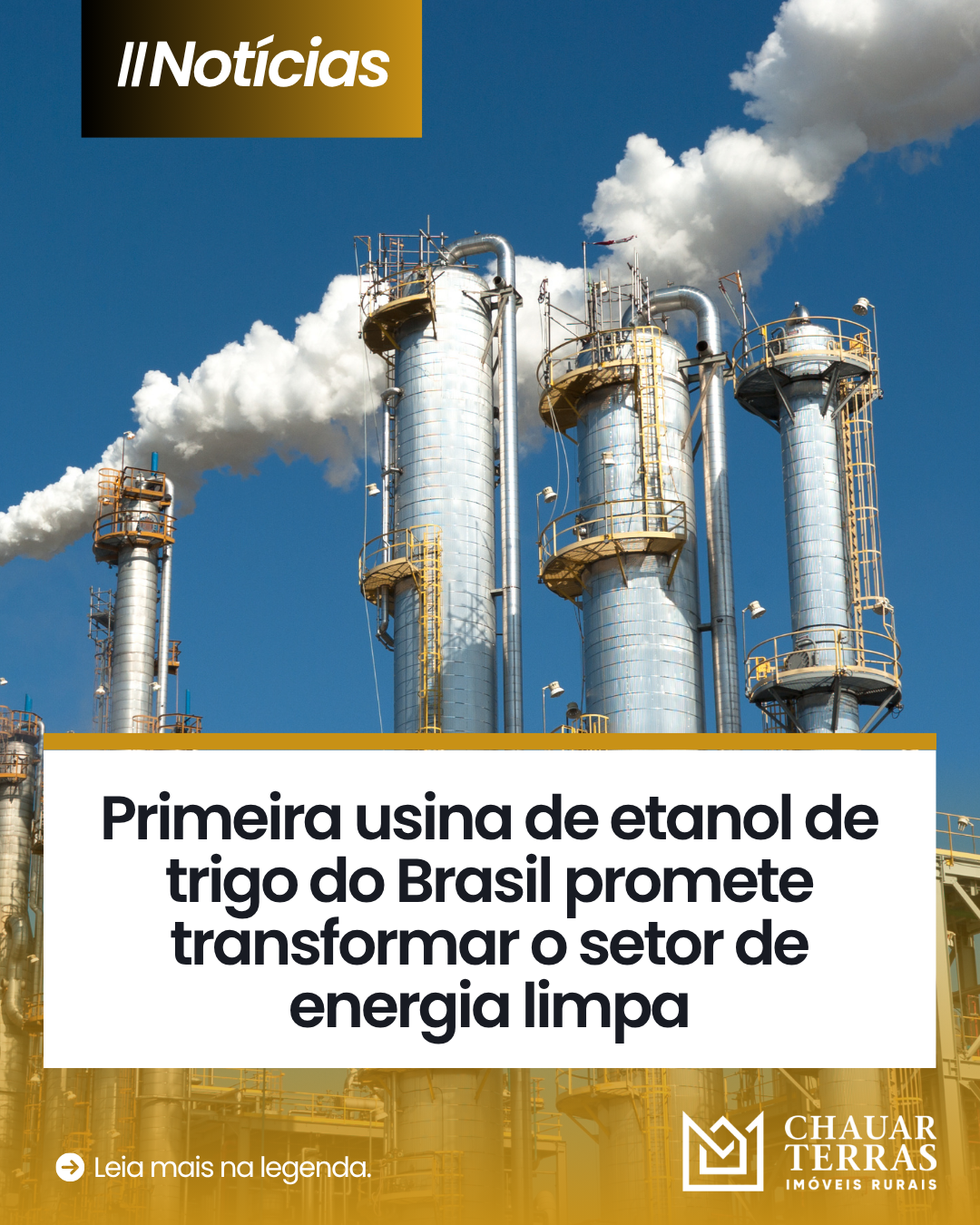 Primeira usina de etanol de trigo do Brasil promete transformar o setor de energia limpa