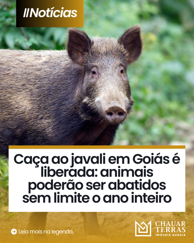 titulo publicacao