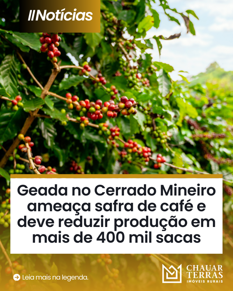 titulo publicacao
