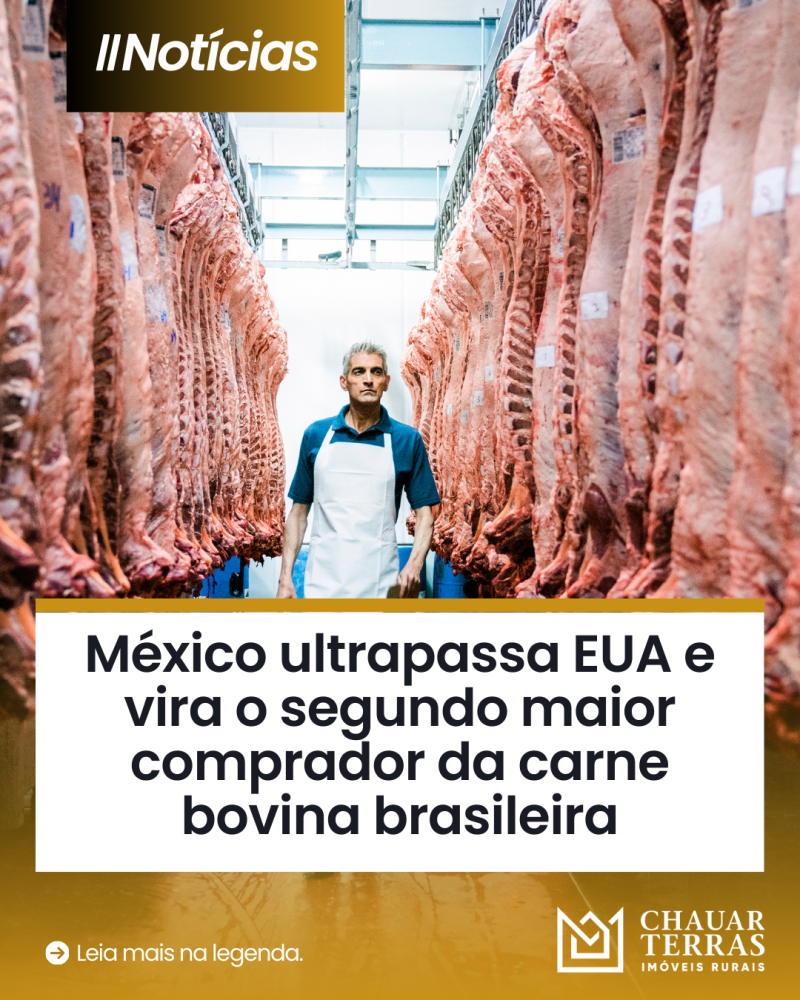 titulo publicacao
