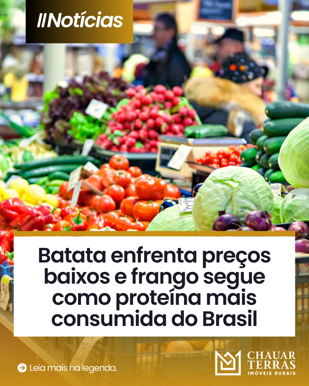 Batata enfrenta preços baixos e frango segue como proteína mais consumida do Brasil
