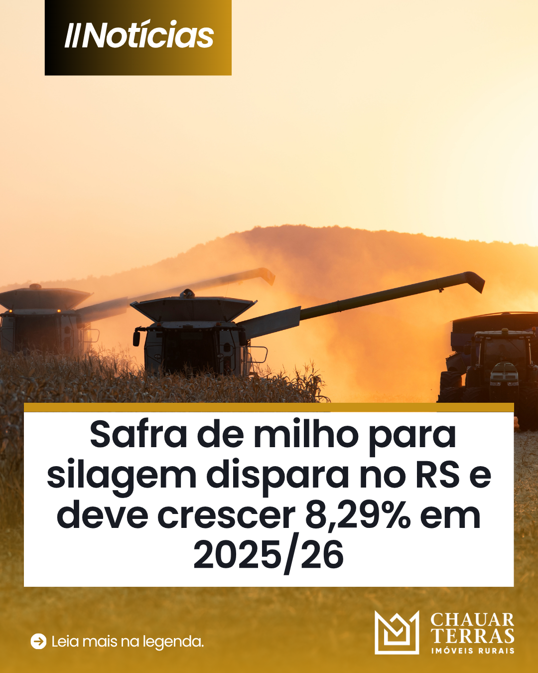 Safra de milho para silagem dispara no RS e deve crescer 8,29% em 2025/26