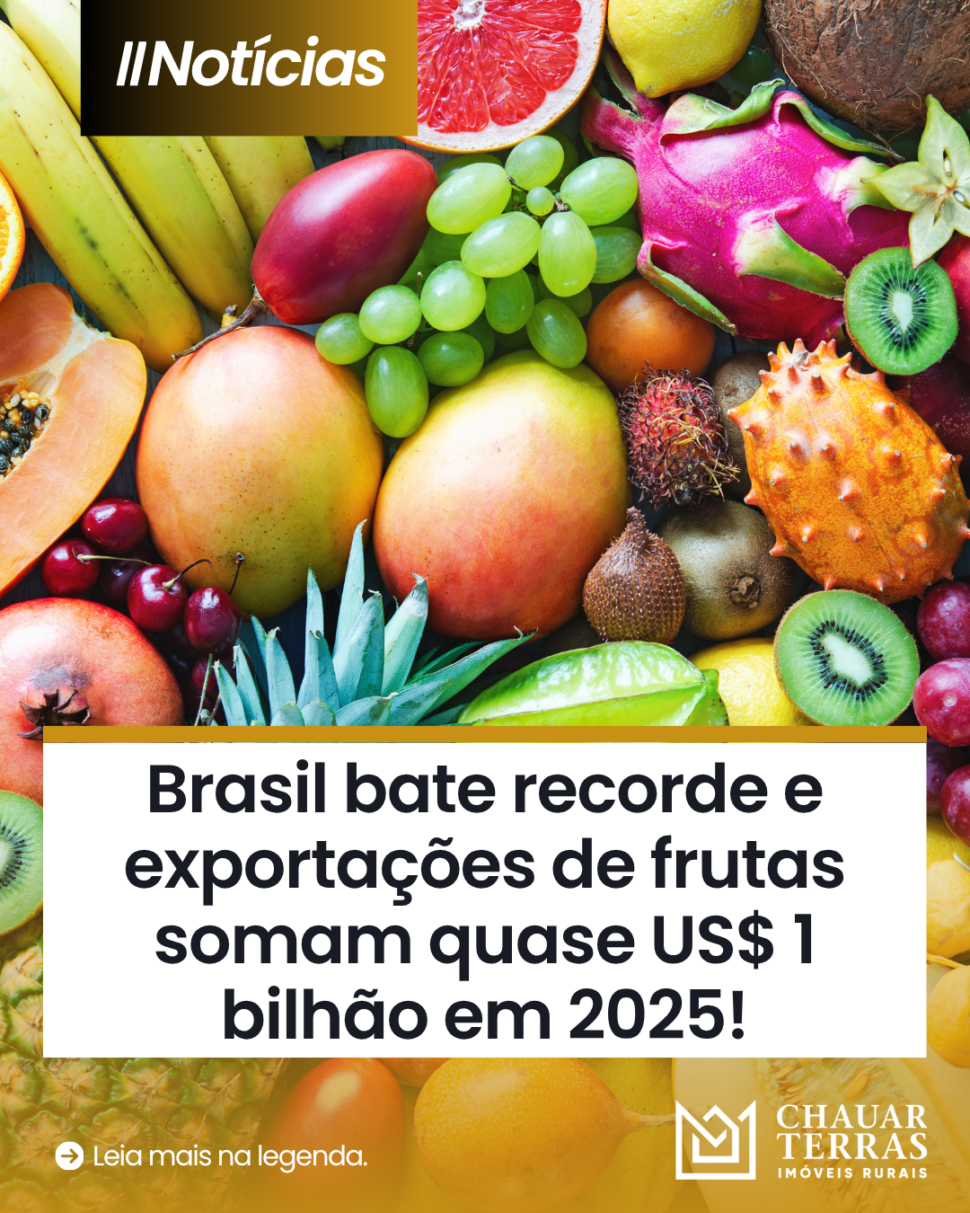 Brasil bate recorde e exportações de frutas somam quase US$ 1 bilhão em 2025