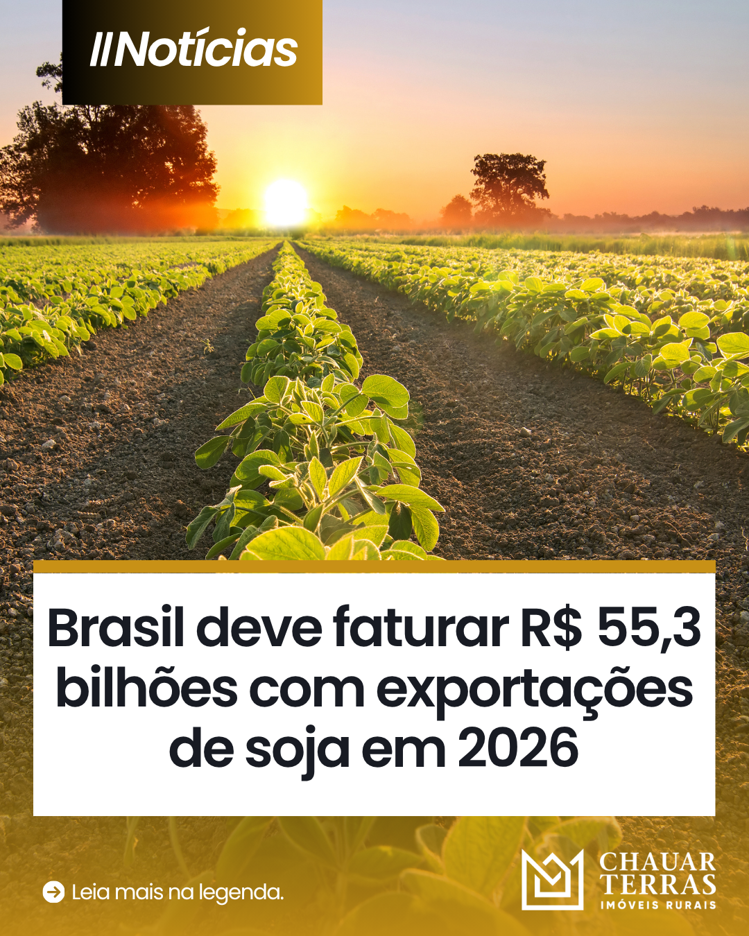 Brasil deve faturar R$ 55,3 bilhões com exportações de soja em 2026