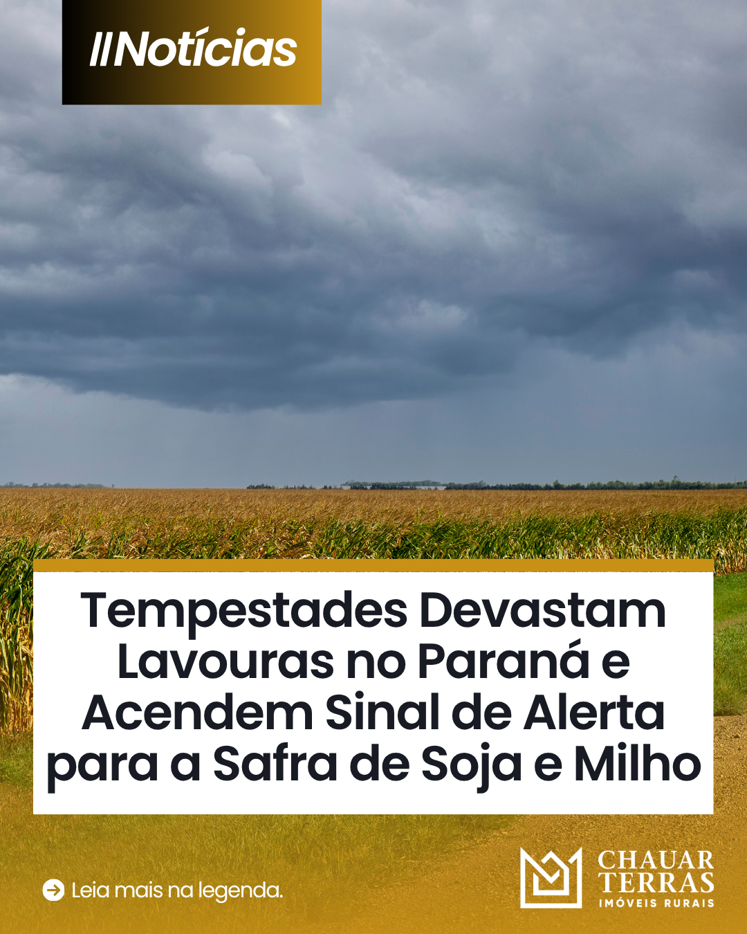 Tempestades Devastam Lavouras no Paraná e Acendem Sinal de Alerta para a Safra de Soja e Milho