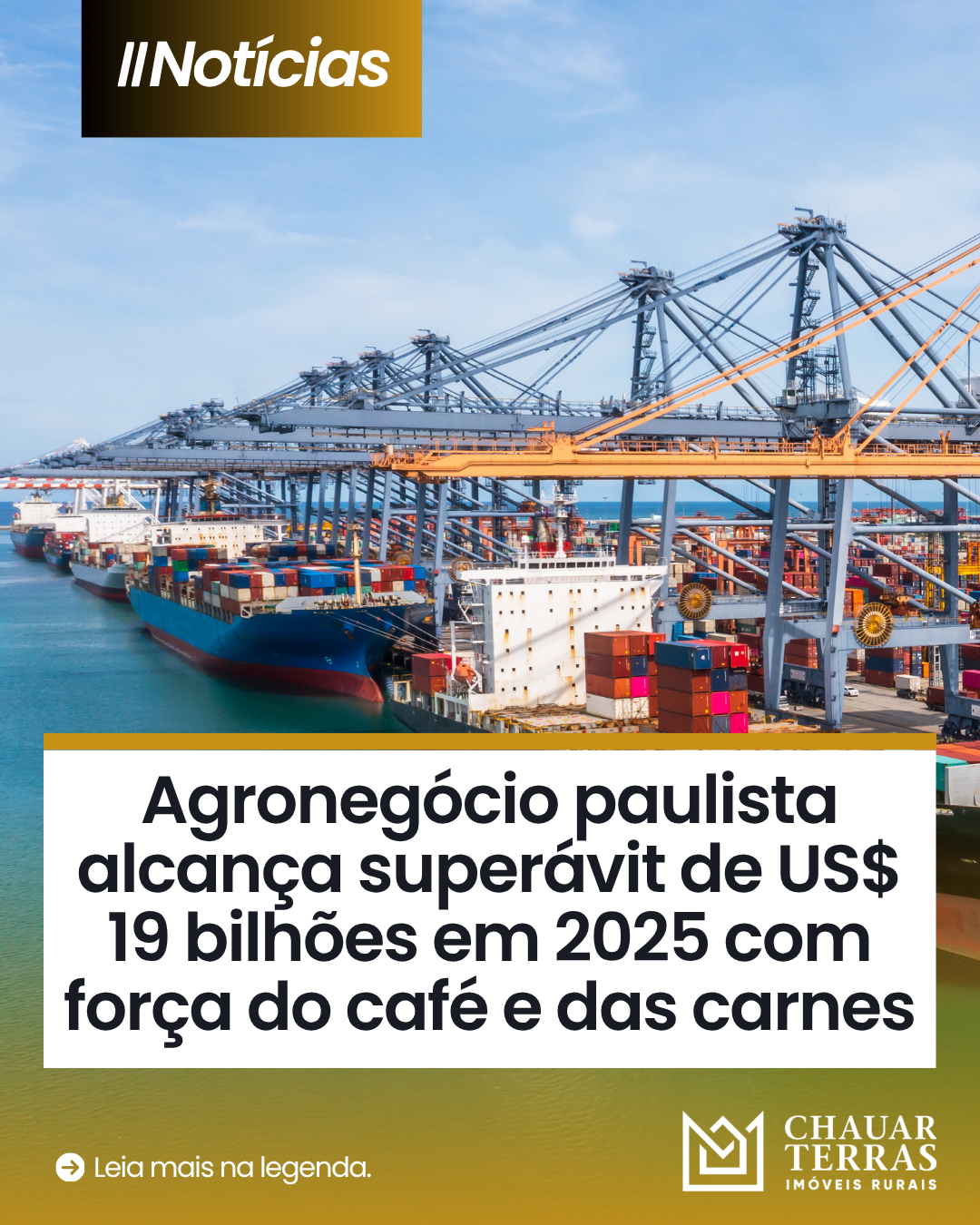 Agronegócio paulista alcança superávit de US$ 19 bilhões em 2025 com força do café e das carnes